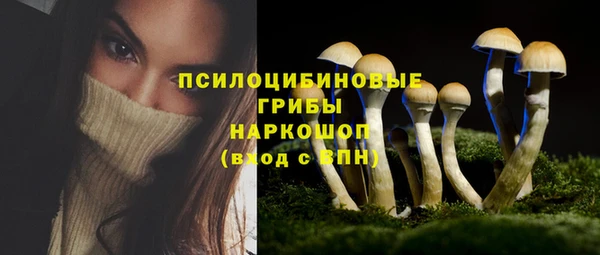 кокаин Белокуриха
