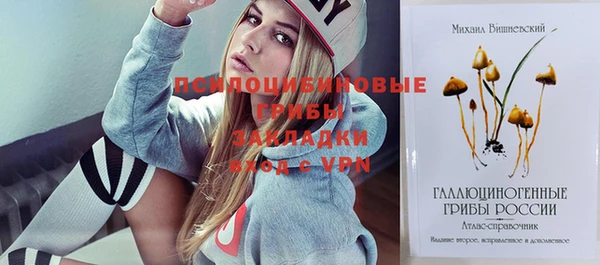 кокаин Белокуриха