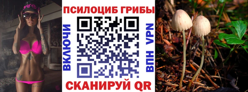 Галлюциногенные грибы мухоморы Спас-Деменск